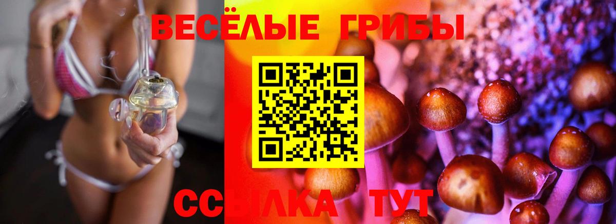 Псилоцибиновые грибы MAGIC MUSHROOMS Владикавказ